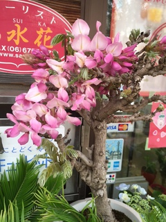 フローリスト山水花 店長のブログ | 花